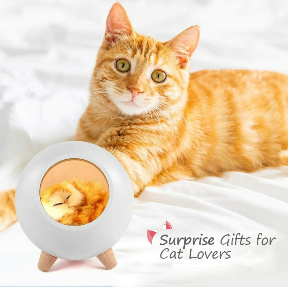 Cute kitty night light